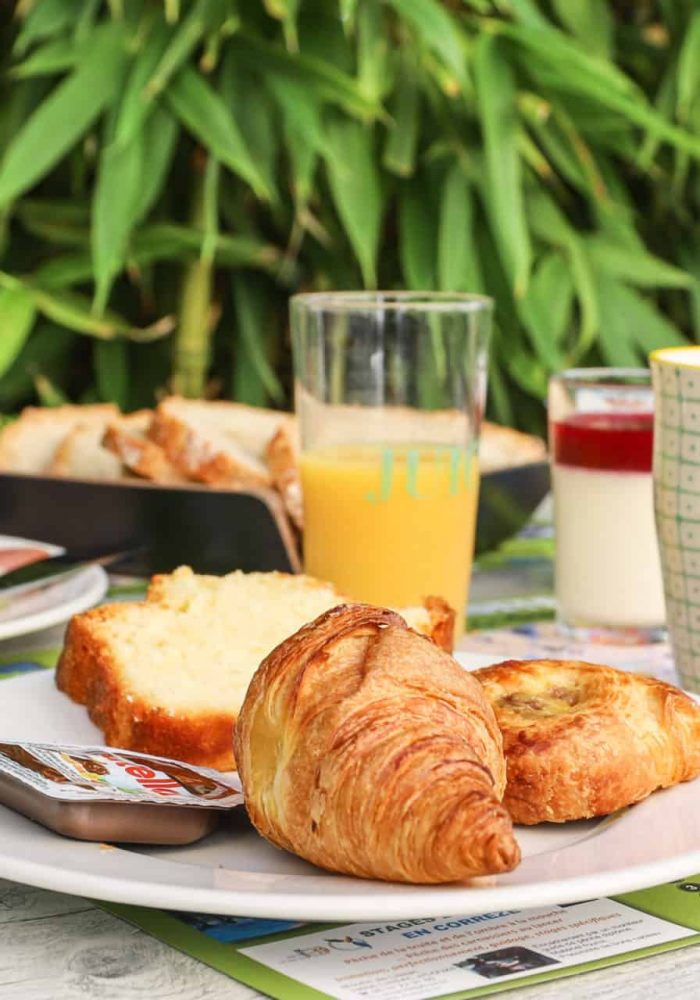 Dès l'apparition des beaux jours prenez votre petit-déjeuner en terrasse donnant sur le jardin public, vous êtes au calme dans la verdure tout en séjournant en plein centre-ville